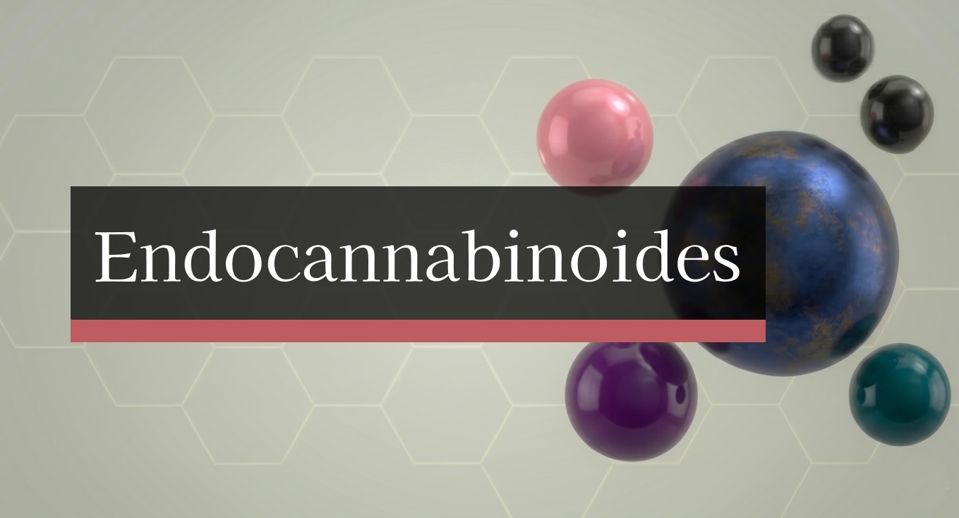 Endocannabinoides