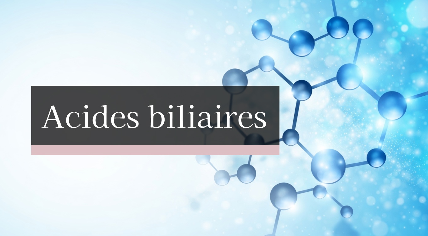 Acides biliaires