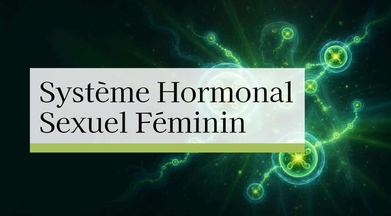 Système Hormonal Sexuel Féminin