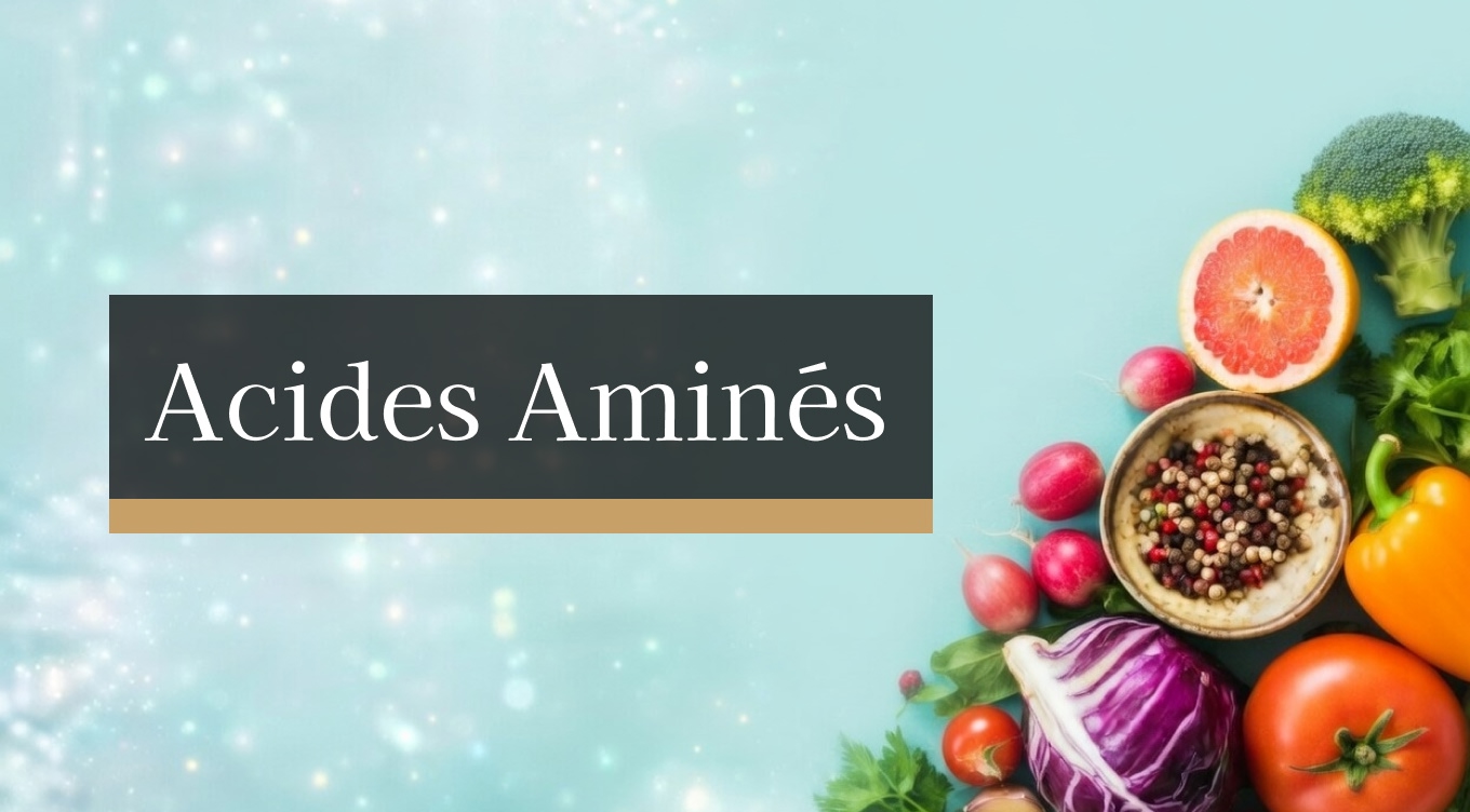 Acides Aminés